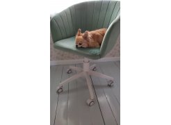 Компьютерное кресло Тибо confetti chocolate / белый фото покупателя 55