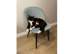 Стул на металлокаркасе Gabi green / black фото покупателя 325