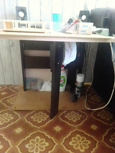 Стол-книжка СтК6 венге / дуб молочный высота 54 см фото покупателя 74