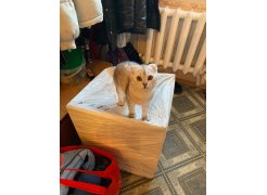 Стул на металлокаркасе Gabi green / black фото покупателя 757