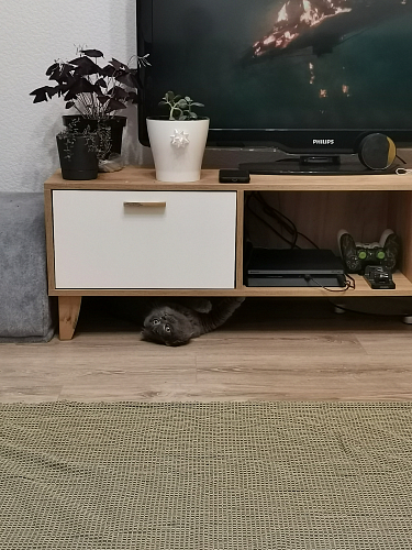 ТВ-тумба Эго Т-3 на ножках бетон светлый / белый глянец фото покупателя 65