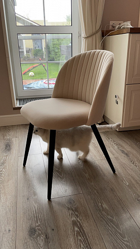 Стул на металлокаркасе Gabi green / black / silver фото покупателя 11