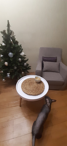 Журнальный стол Hof белый фото покупателя 8