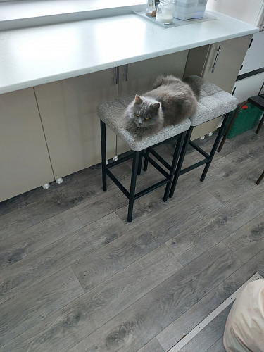 Барный стул Лофт катания лаванда / белый матовый фото покупателя 27