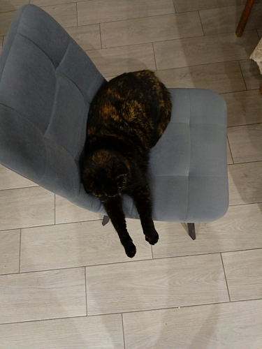 Стул на металлокаркасе Чилли К темно-серый (velutto 32) / черный фото покупателя 528