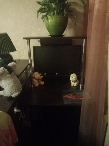 Компьютерный стол КСТ-12 венге фото покупателя 11