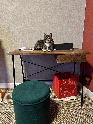 Письменный стол Wd-12/Вд-12 burnt/обгоревшее дерево фото покупателя 1