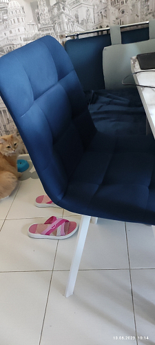 Стул на металлокаркасе Чилли К кирпичный / черный фото покупателя 101