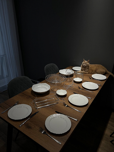 Стол Тринити Лофт 120 32 мм дуб галифакс табако / черный матовый фото покупателя 477