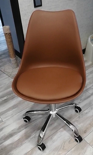 Компьютерное кресло Kolin с подушкой clear / white фото покупателя 416