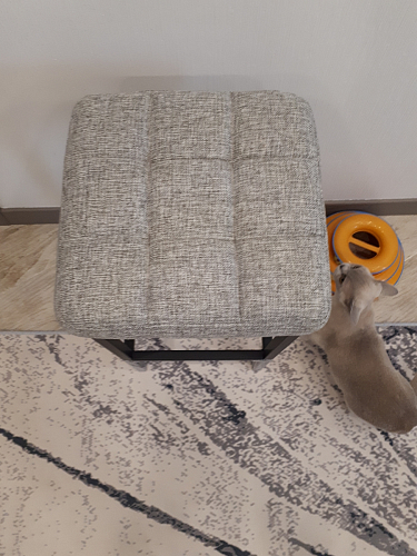 Барный стул Лофт катания минт / белый матовый фото покупателя 321