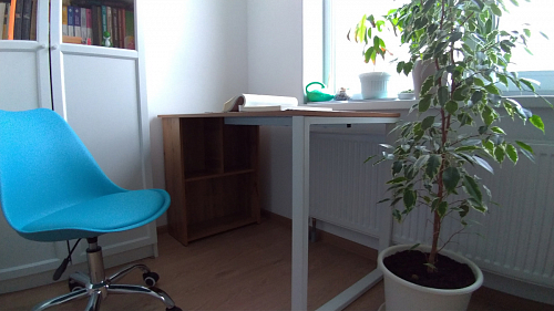 Письменный стол Битти Лофт 116х60х75 креатель / черный матовый фото покупателя 49