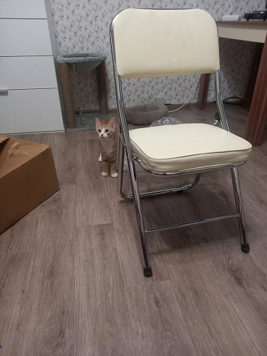 Стул Chair раскладной бежевый фото покупателя 55