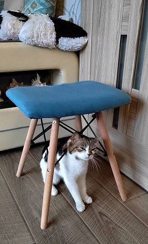 Табурет Ben grey фото покупателя 1