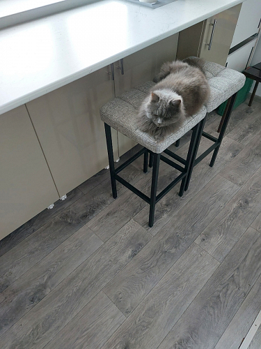 Барный стул Лофт катания лаванда / белый матовый фото покупателя 243