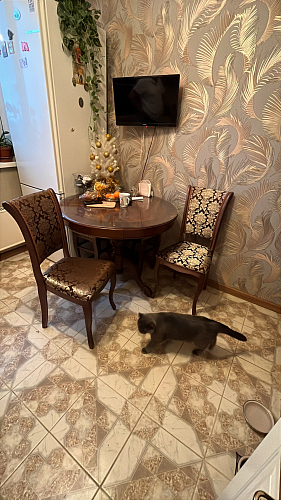 Деревянный стул Фабиано 304 камелия / ромб 01 фото покупателя 1