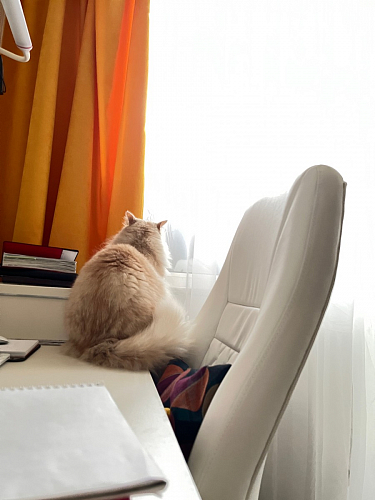 Компьютерное кресло Aragon белое фото покупателя 163