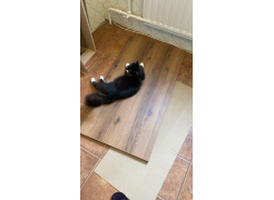 Стол Тринити Лофт 120 32 мм бетон / черный матовый фото покупателя 90