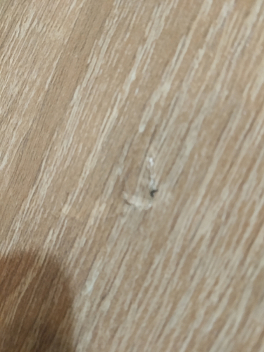 Стол письменный Kiwi дуб молочный  - Уцененный экземпляр фото покупателя 100