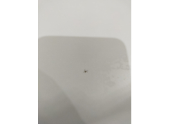 Письменный стол СП3 дуб сонома / белый фото покупателя 5