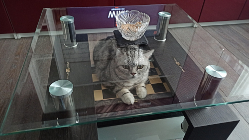 Журнальный столик ST-052 wenge фото покупателя 1