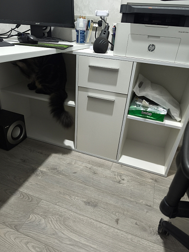 Письменный стол Лайт 03.245F белый гладкий 101 фото покупателя 168