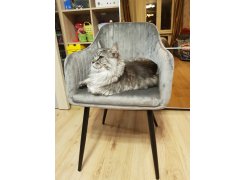 Стул на металлокаркасе Slam тёмно-серый фото покупателя 92