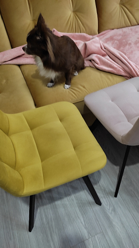 Стул на металлокаркасе Чилли К светло-серый велюр / черный каркас фото покупателя 879