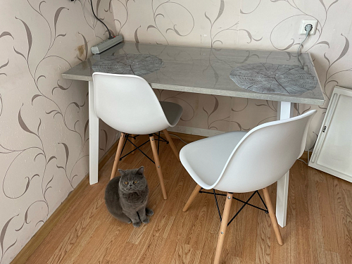 Стол Тринити Лофт 120 25 мм черный матовый / юта фото покупателя 150