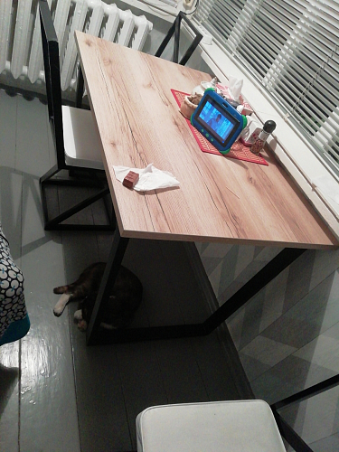 Стол Лота Лофт 120 25 мм сабия / белый матовый фото покупателя 879