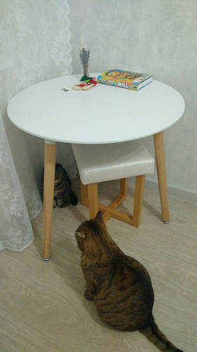 Стол Lorini 80 фото покупателя 3