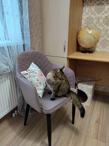 Стул на металлокаркасе Vener green фото покупателя 5