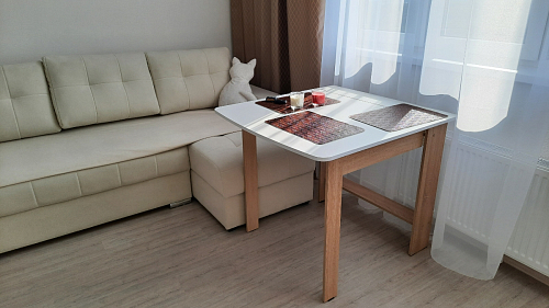 Стол обеденный раздвижной СтК7 венге фото покупателя 64