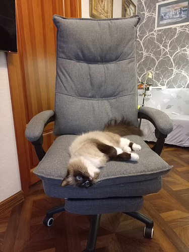 Компьютерное кресло Rapid серое фото покупателя 61