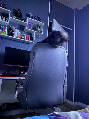 Компьютерное кресло Tron gray fabric фото покупателя 63