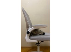 Компьютерное кресло Konfi light gray / white фото покупателя 235