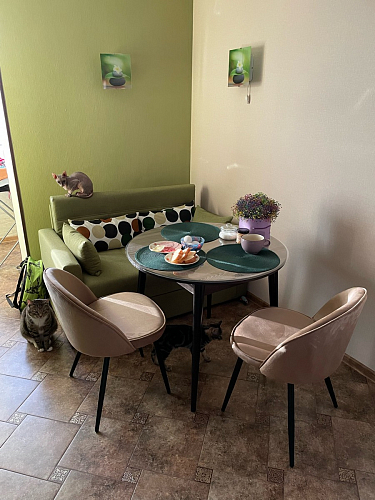 Стул Dodo темно-бежевый фото покупателя 1