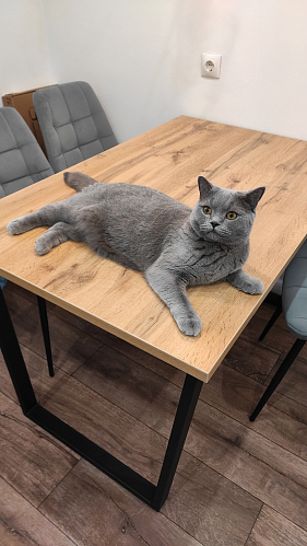 Деревянный стол Лота Лофт 140х80 дуб крафт табачный / черный матовый фото покупателя 1024