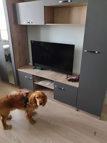 Готовая гостиная Бертелена белое дерево / белое дерево фото покупателя 77