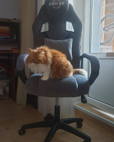 Компьютерное кресло Driver/Драйвер кожзам черный / серый фото покупателя 23