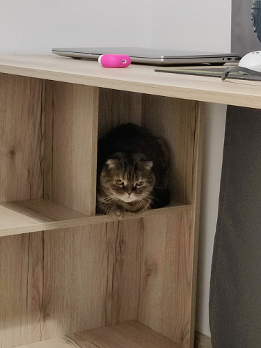 Письменный стол Битти Лофт 116х60х75 креатель / черный матовый фото покупателя 4