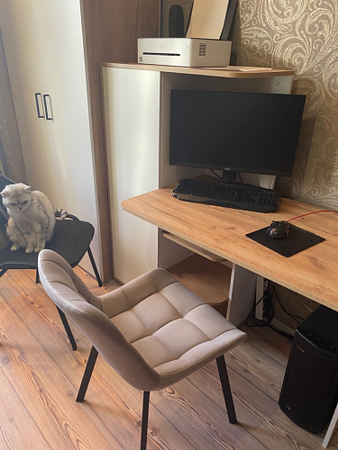 Стул на металлокаркасе Челси велюр коричневый / черный каркас фото покупателя 174