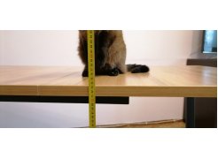 Деревянный стол Лота Лофт 120(160)х75 черный матовый / бетон светлый фото покупателя 323