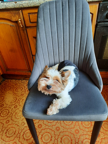 Стул на металлокаркасе Kora gray / black фото покупателя 179