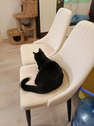 Стул Kora light purple фото покупателя 89