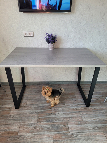 Стол Лота Лофт 120 32 мм бетон / черный матовый фото покупателя 55