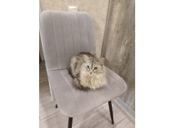 Стул на металлокаркасе Дани темно-серый / белый фото покупателя 45