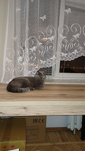 Стол Оригон файерстоун / черный матовый фото покупателя 36