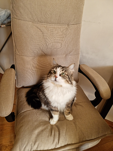 Компьютерное кресло Rapid голубое фото покупателя 35