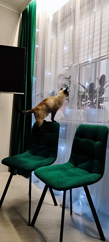 Стул на металлокаркасе Чилли светло-серый / белый каркас фото покупателя 413